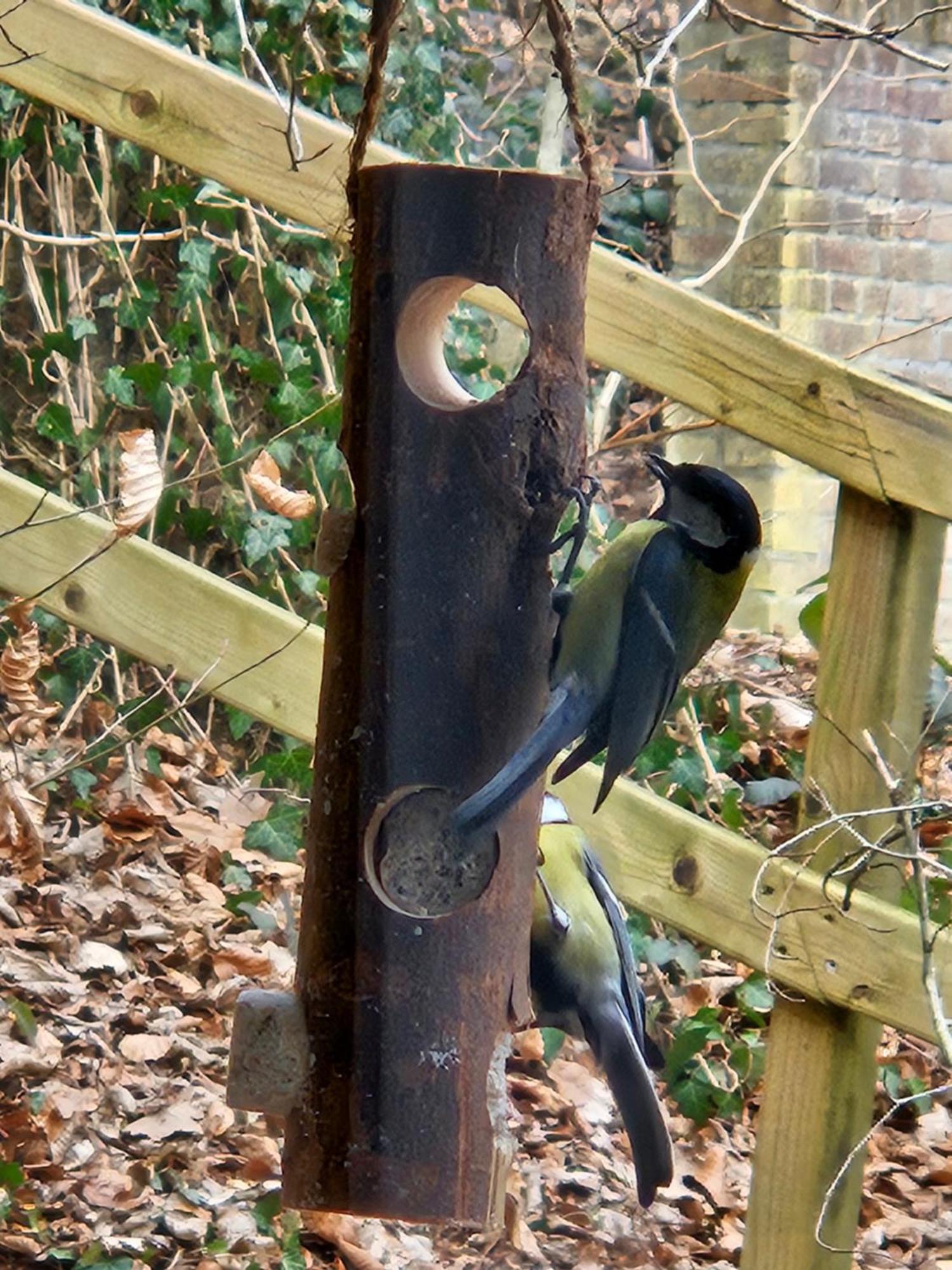 Boshuisje Durbuy Met Zwembad Op Het Park 外观 照片